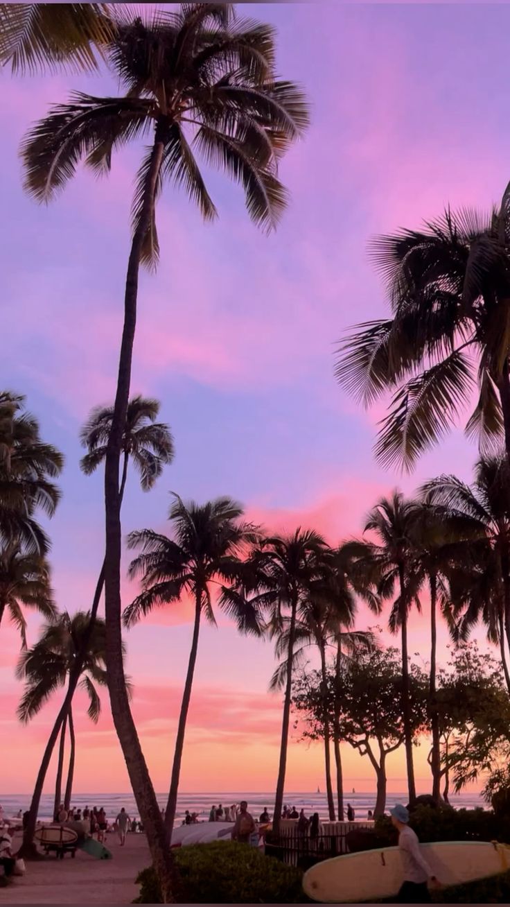 Palmeras al atardecer
