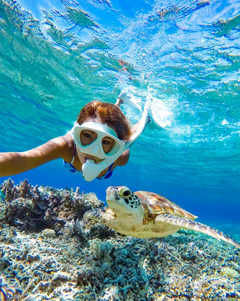 Snorkel con tortuga