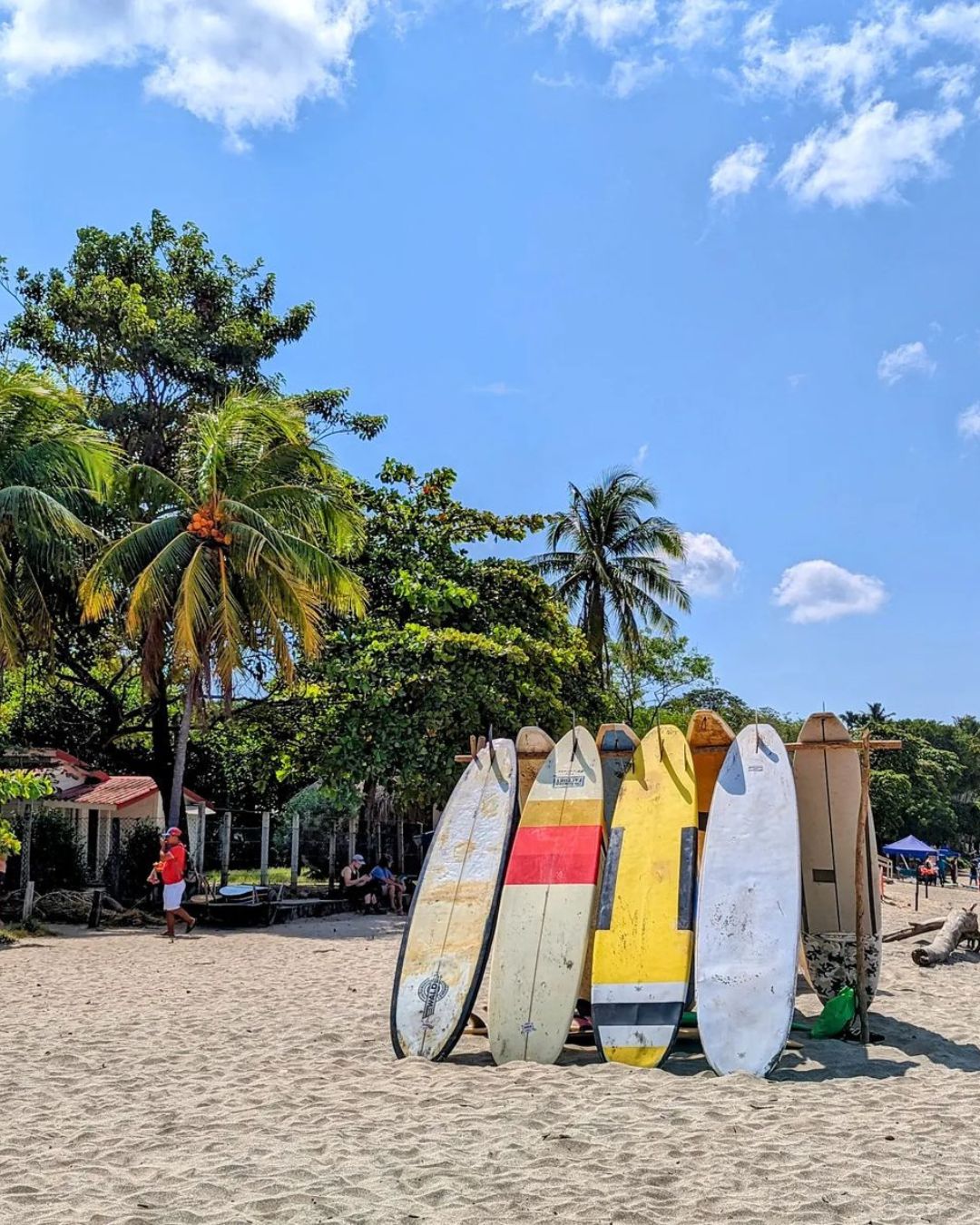 Playa con tablas de surf